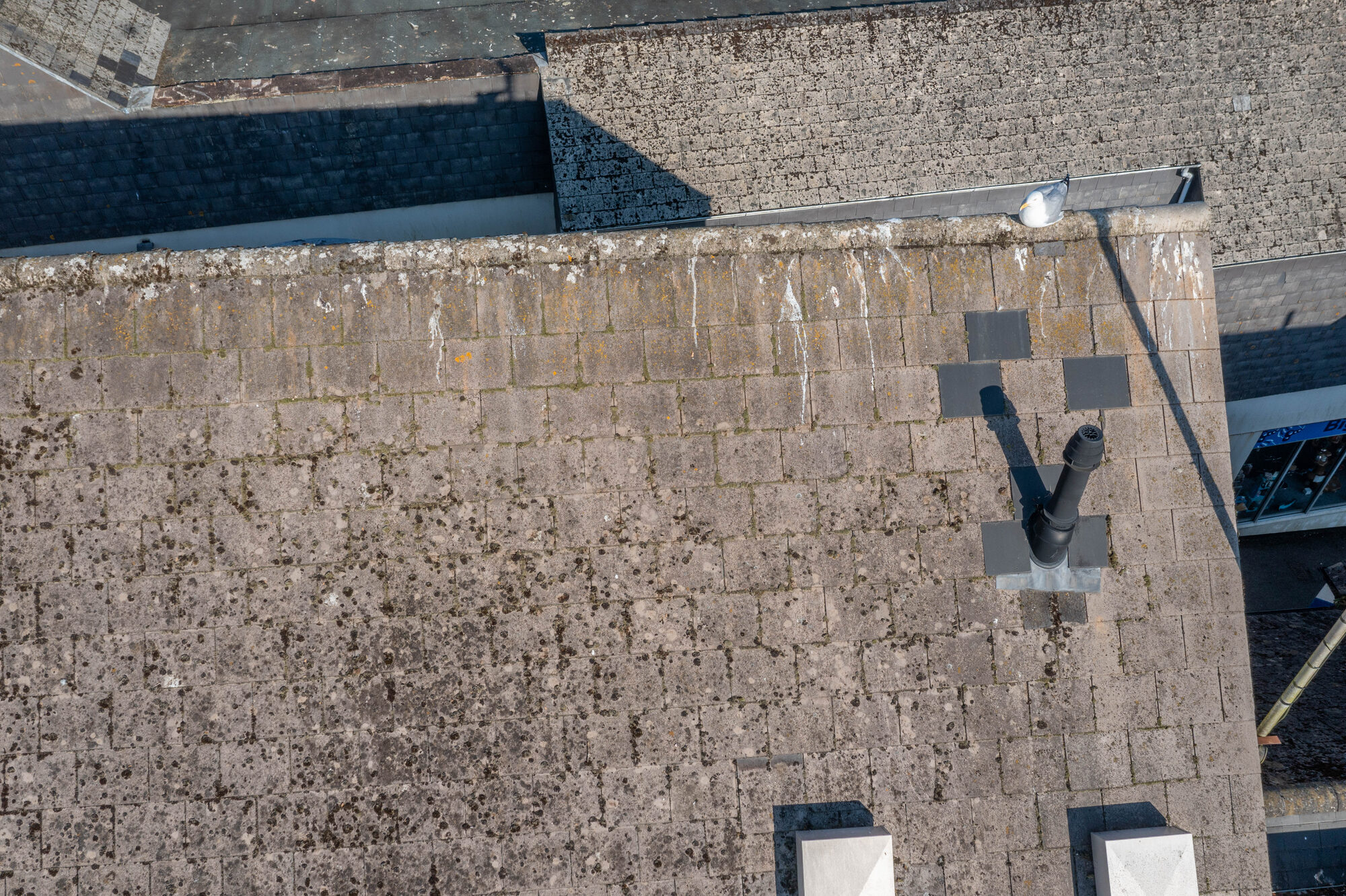 Close-up drone photo of a slate roof with a vent pipe on Fore Street, Bodmin, with a seagull perched on the top corner