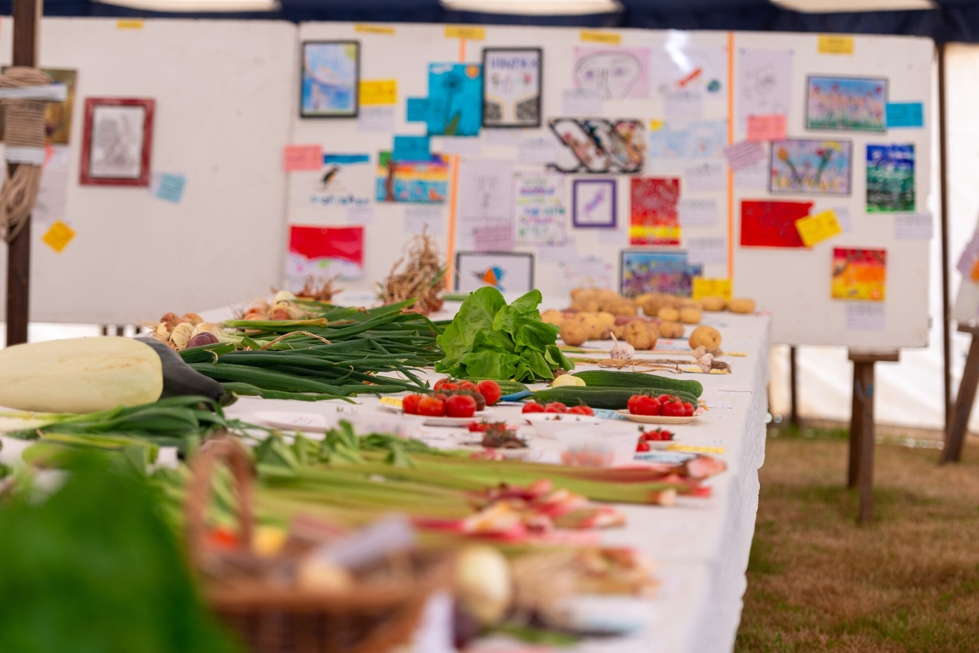 Handmade goods display