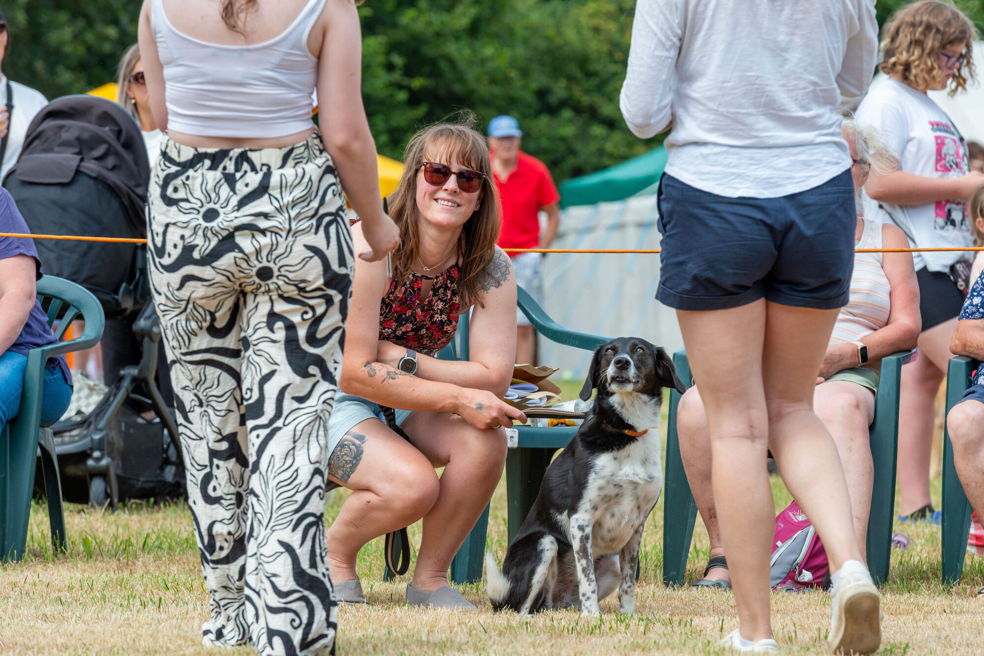 Dog show competitor showing spaniel