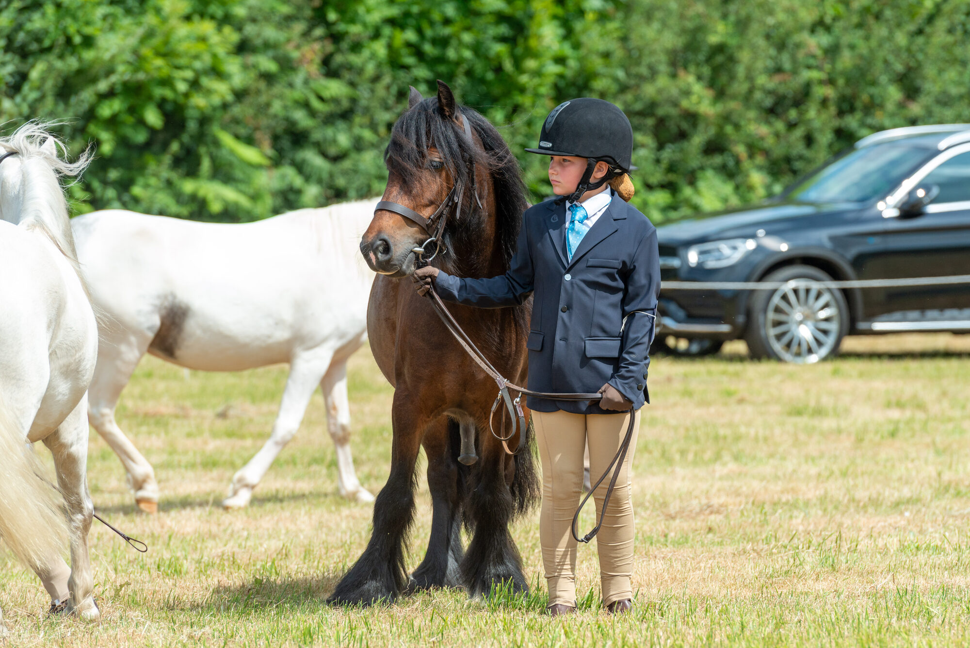 Pony show judging presentation