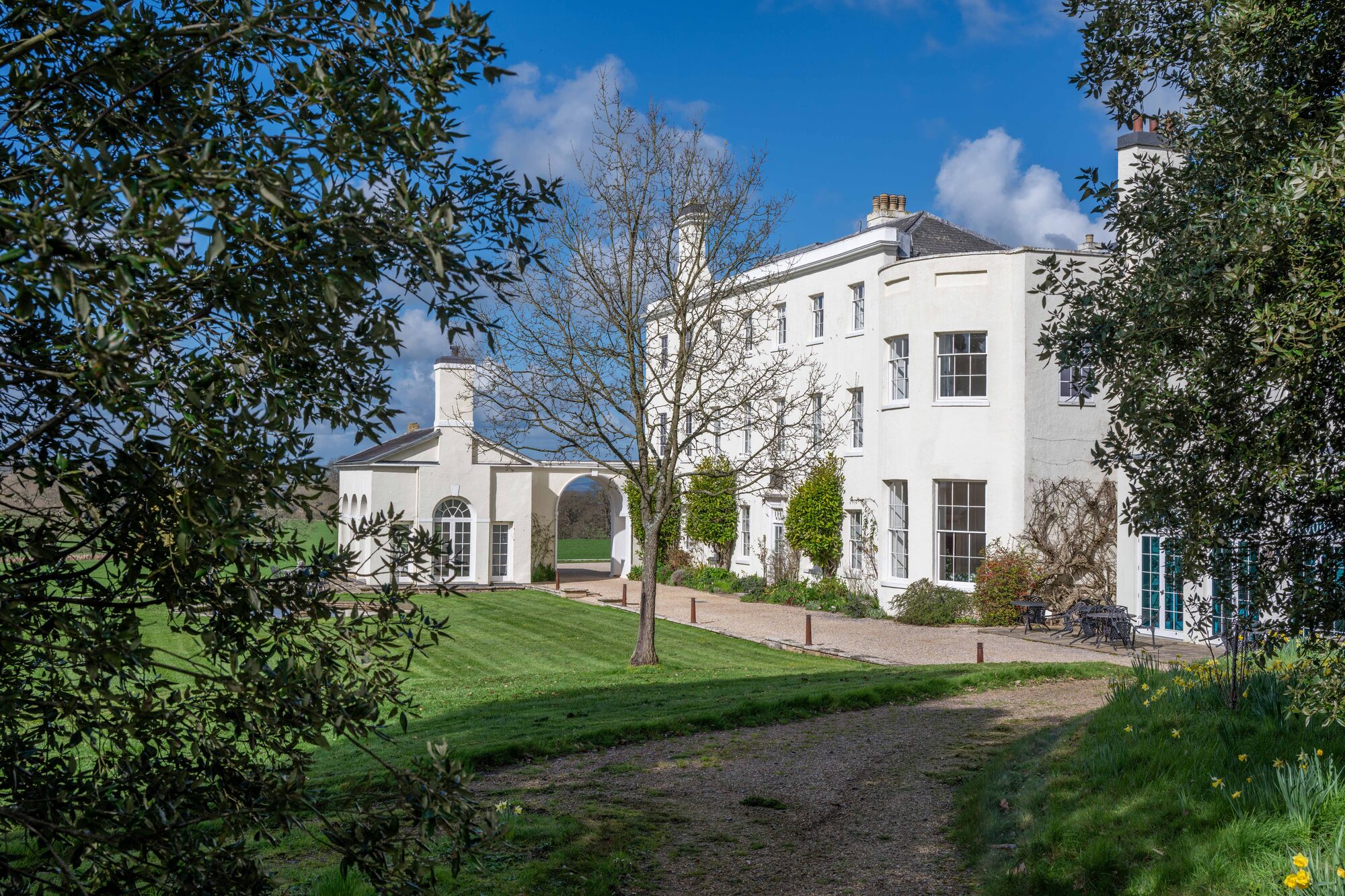 Springtime view of Rockbeare Manor surrounded by daffodils